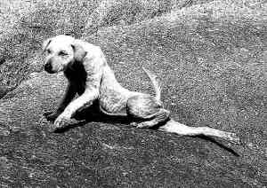 stories for children