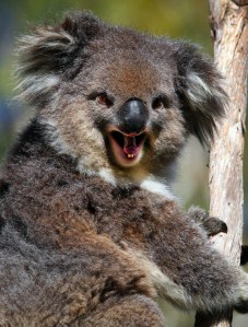 Free eBooks for you and you and you